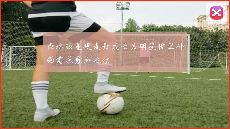 森林狼重视麦丹成长为明星控卫补强需求愈加迫切