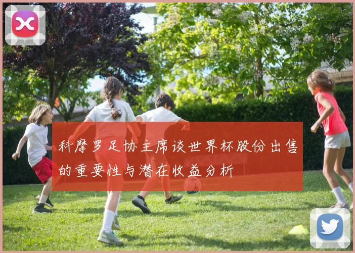 科摩罗足协主席谈世界杯股份出售的重要性与潜在收益分析