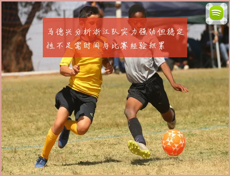 马德兴分析浙江队实力强劲但稳定性不足需时间与比赛经验积累